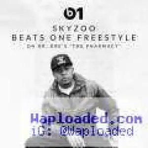 Skyzoo - The Pharmacy Freestyle
